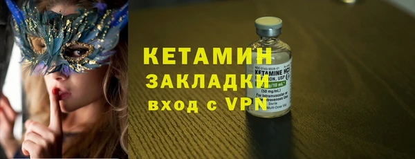 индика Заводоуковск