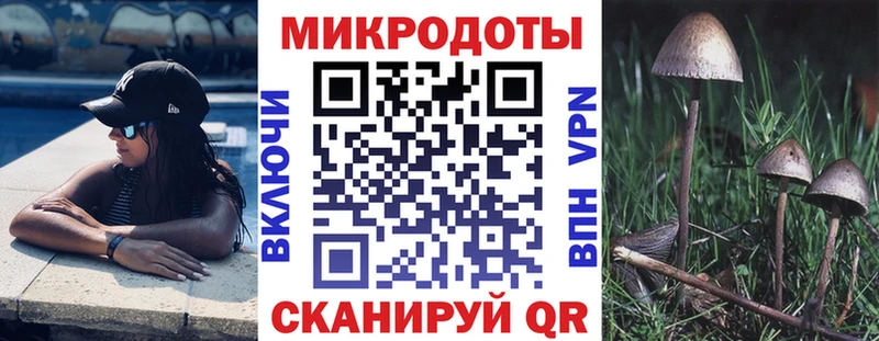 Галлюциногенные грибы GOLDEN TEACHER Братск